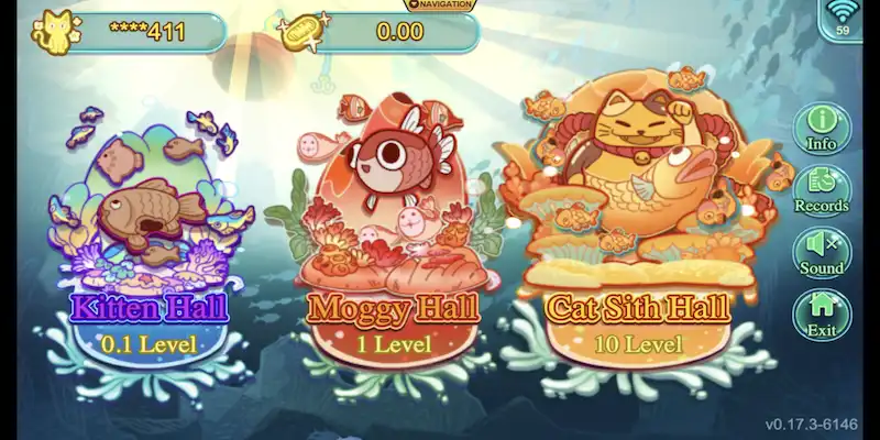 Những thông tin mới nhất về mèo bắt cá K9win